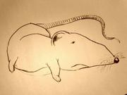 Artwork by Tesura entitled "Rat 1"