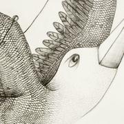 Detail of artwork entitled "Free as a bird" by Tesura